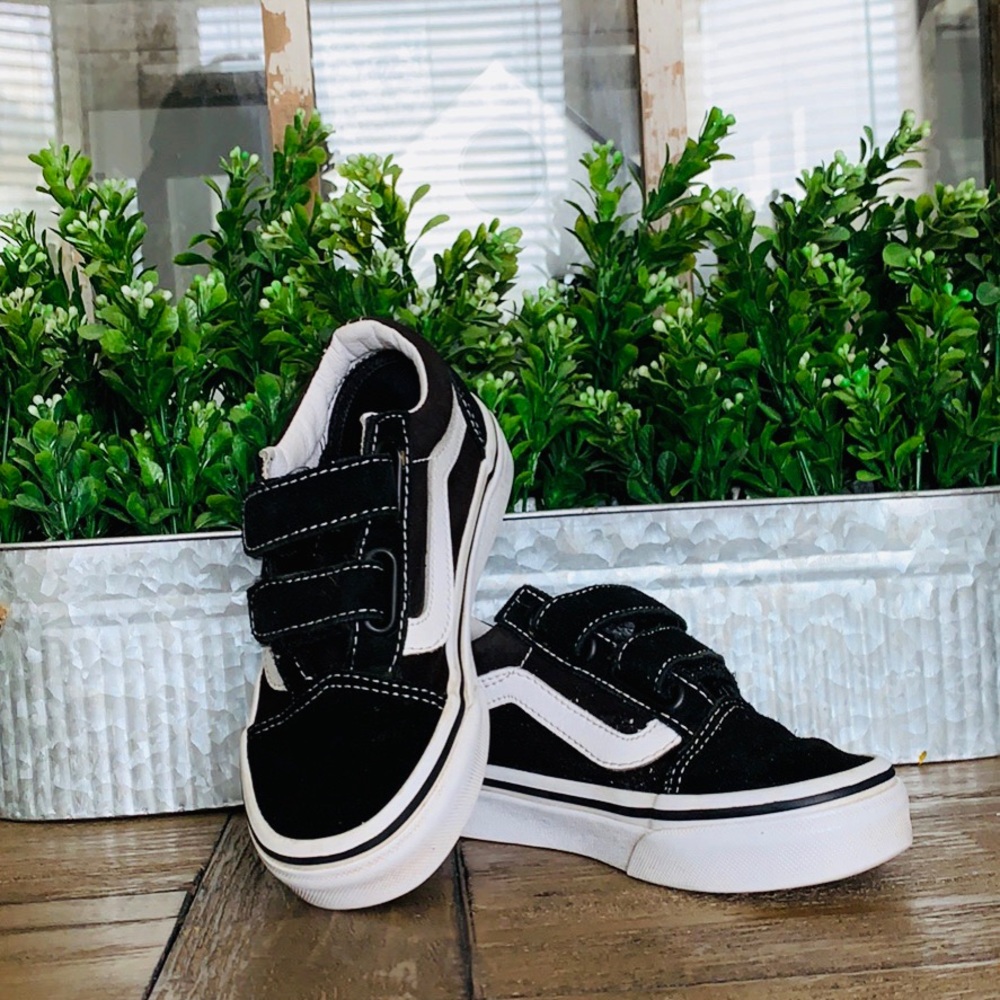 Kids vans